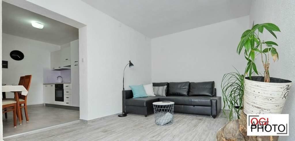Apartments Marcela ستاري غراد المظهر الخارجي الصورة